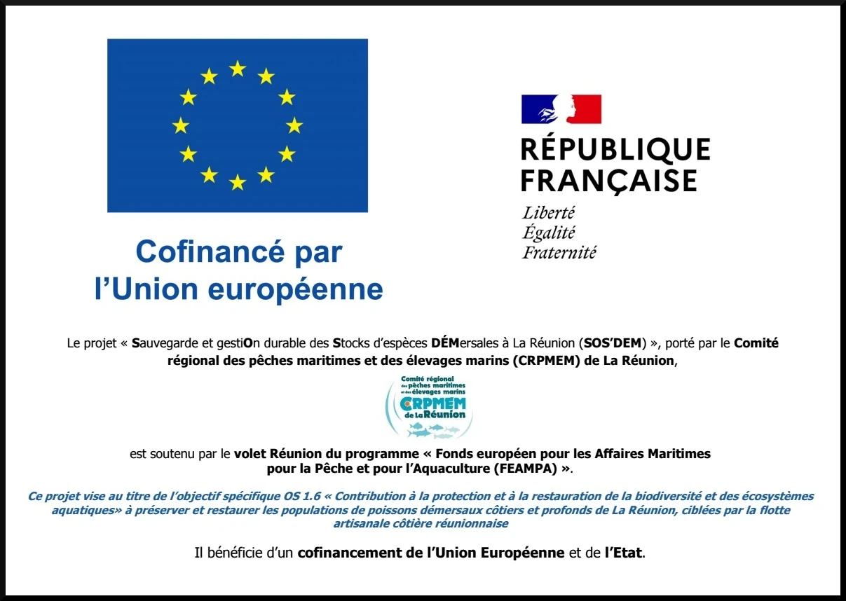 Publicite SOSDEM