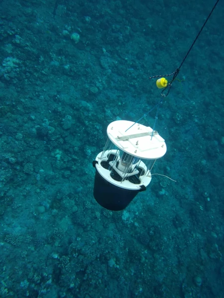 Un piège Sakitrap sous l'eau (Photo: OCEA)