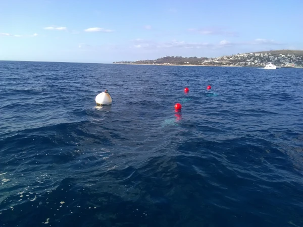 Filière en surface d'un Sakitrap (Photo: OCEA)