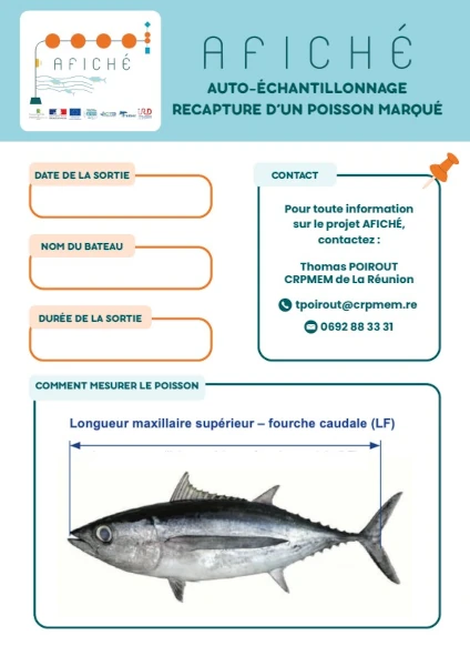 Zinfos AFICHE 4