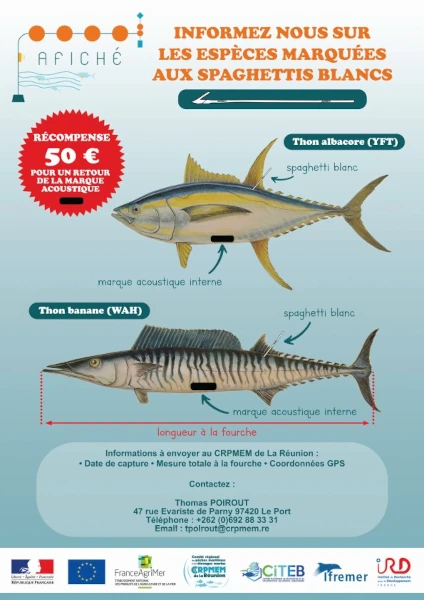 Affiche marquage acoustique AFICHÉ (source: CRPMEM Réunion)