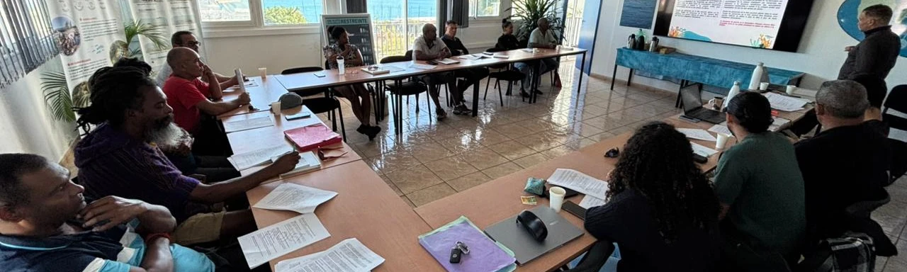 Reponse consult arrete bichique une