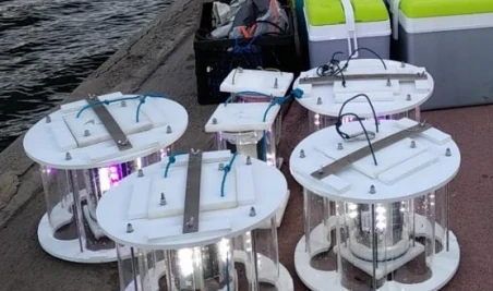 Pièges "SAKITRAP" (photo: OCEA Consult')